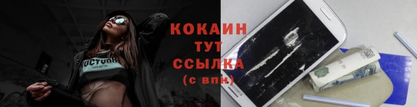СК Белокуриха