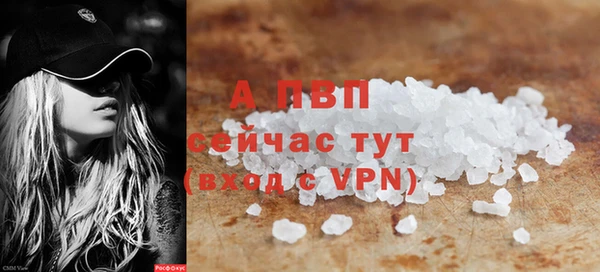СК Белокуриха